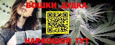 прущие крисы Кимры