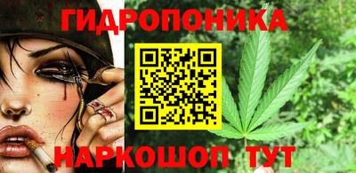 ECSTASY Кингисепп
