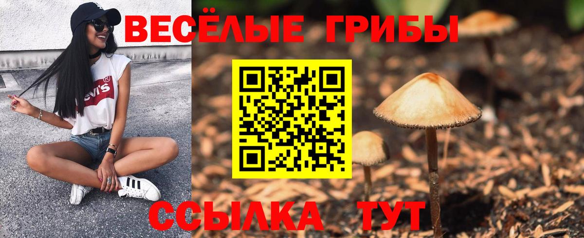 Псилоцибиновые грибы мицелий Шелехов