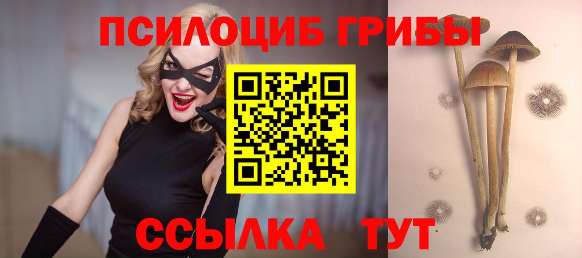 Шелехов  Галлюциногенные грибы Cubensis  Вход с VPN  Псилоцибиновые грибы MAGIC MUSHROOMS 